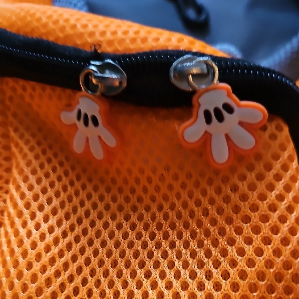 Orange and Gray Backpack Pet Carrier
